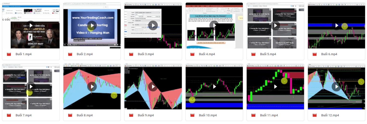 Share khóa học Thầy Tiểu Long FX - Chứng Khoán, Forex, Crypto nâng cao (SPECIAL)