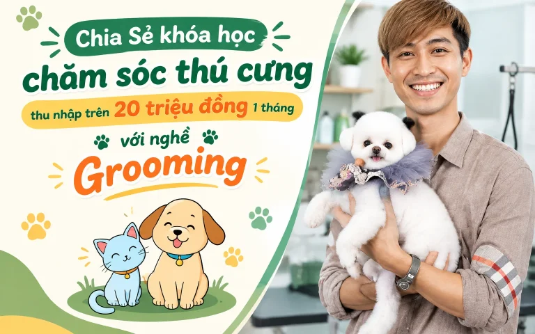 khóa học chăm sóc thú cưng thu nhập trên 20 triệu đồng 1 tháng với nghề Grooming