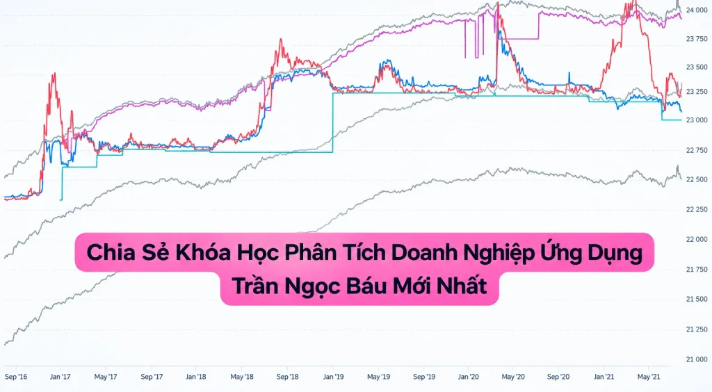 Khóa Học Phân Tích Doanh Nghiệp Ứng Dụng Trần Ngọc Báu Mới Nhất