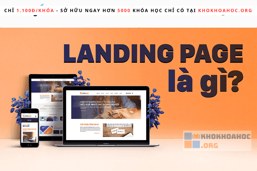 Ladipage Là Gì? Tầm Quan Trọng Ladipage Trong Kinh Doanh Online
